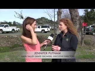 Wine Oh TV with Monique Soltani