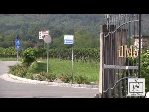 Traveling in Northern Italy Franciacorta Wine Tasting and Wine Tours