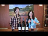 Sonoma County Wine Travel: Father's Day Wine Picks WINE TV