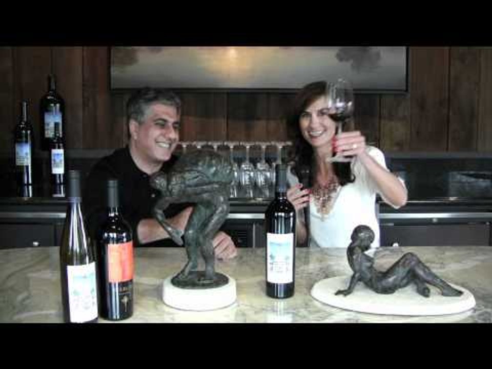 Sonoma County Wine Travel: Art and Wine Pairing WINE TV