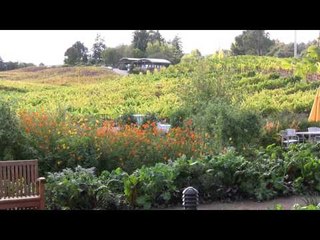 Wine Oh TV Grape Escapes: Farm to Table