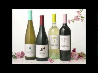 Wine Sisterhood Behind Middle Sister Wines WINE TV