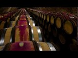 Wine Oh TV: Burgundy Wine Behind the Bottle