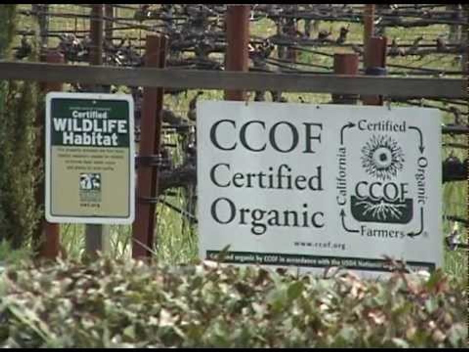 Mendocino County Wine Country Travel Wine Tasting and Tours WINE TV