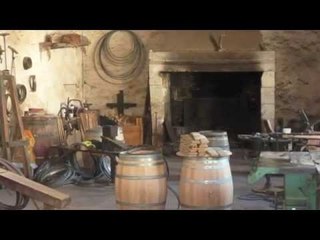 Inside Look at Château Haut-Brion, Chateau Margaux, Chateau d'Yquem Bordeaux, France
