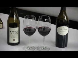 Dr Oz's Trick To Removing Red Wine from Teeth WINE TV