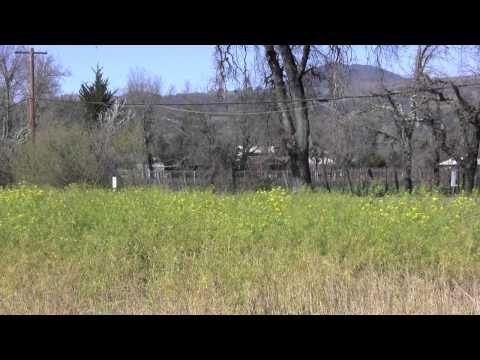 Sonoma County Wine Travel: Francis Ford Coppola Winery WINE TV