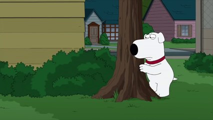 Family Guy - Scrappy Brian