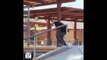 GREATEST SKATEBOARDING TRICKS EVER