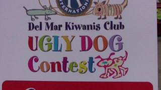Ugly Dog Contest! (in HD)