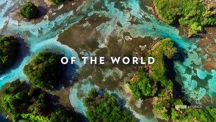 BBC PLANET EARTH 2 Trailer (2017) BBC Nature Documentary Series