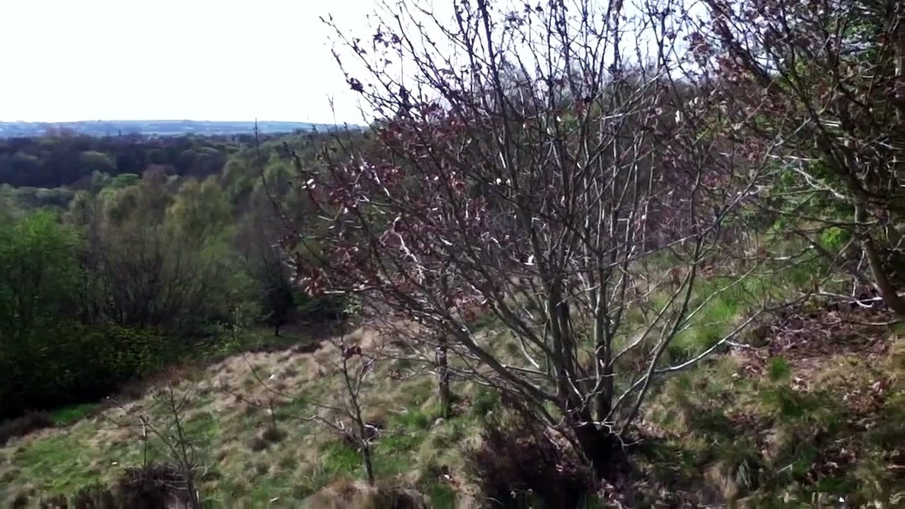 BBC Nature Documentary Parody