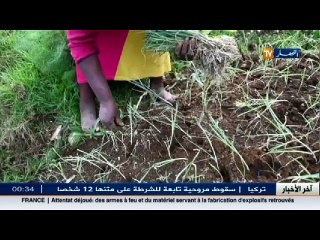 ريبورتاج: مزارعون يخوضون معركة البقاء