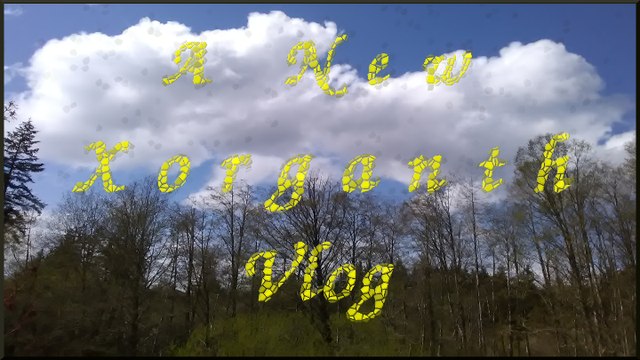 Xorganth Vlog Cheered Myself Up #FreedomFamily
