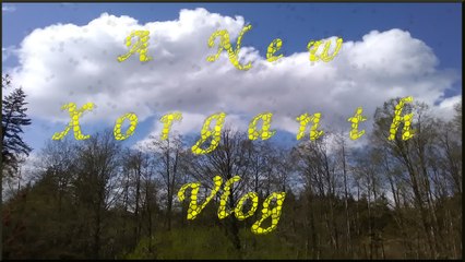 Xorganth Vlog Cheered Myself Up #FreedomFamily