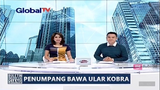 Penumpang Pesawat Membawa Ular Kobra