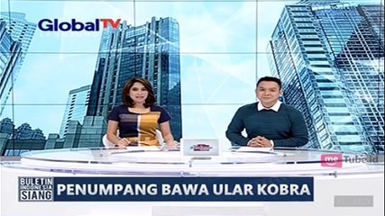 Penumpang Pesawat Membawa Ular Kobra