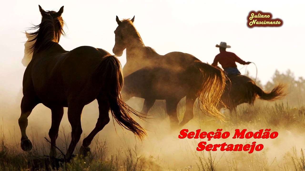 SELEÇÃO MODÃO SERTANEJO