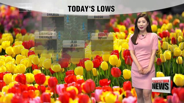 Warm temps, high levels of yellow dust