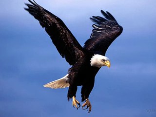 her lehza e momen  sing by a man beautiful song|kalam e iqbal