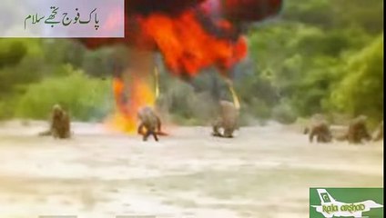 is zameen py hum ALLAH k hathiyar hain|pak army song|best song