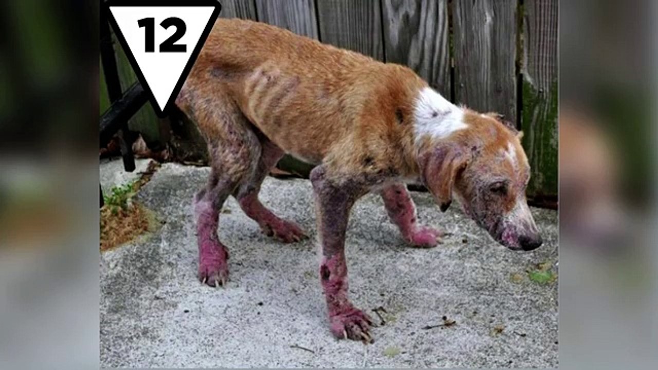 Top 15 Disturbing Real Deep Web Sites