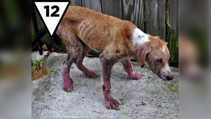 Top 15 Disturbing Real Deep Web Sites