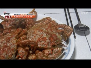 환상의 맛! 왕밤송이게 요리 상 차림! [뉴 코리아 헌터] 41회 20170313