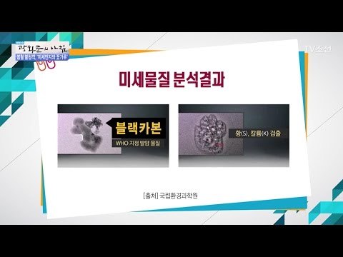 폐 질환 유발하는 봄철 미세먼지! [광화문의 아침] 439회 20170313