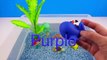 Learn Sea Animal Names, and colors and Counting numbers with Aqua Water Fish Toys Learning fo