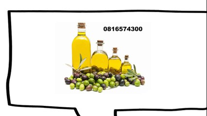 081-657-4300 (Indosat) Jual Minyak Zaitun Bandung Murah