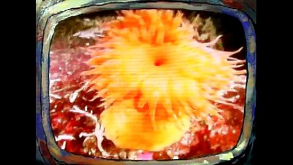 Secret Agent Spongebob (Whose Line is it Anyway Parody)