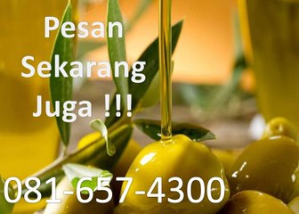 081-657-4300 (Indosat) Jual Minyak Zaitun Labuhanbatu Selatan