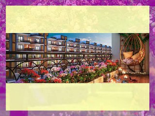 Central Park 3 Cerise Suites