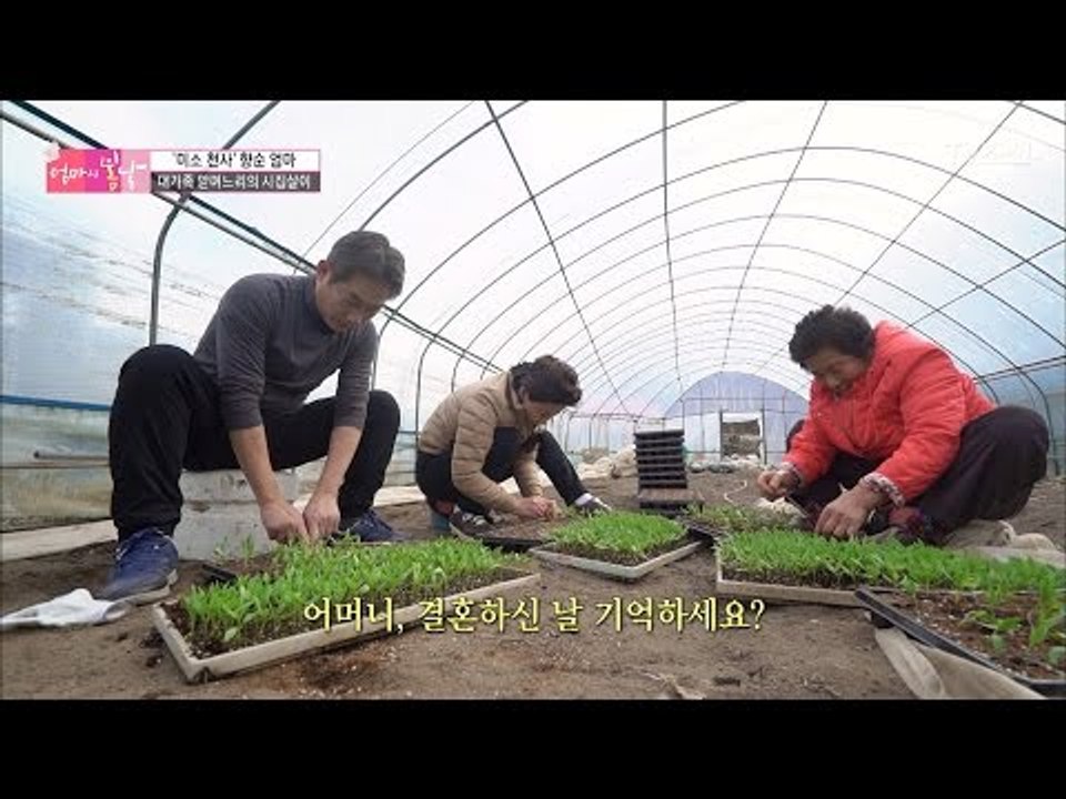시어머니와 출산을 함께?! 대가족의 맏며느리! [엄마의 봄날] 80회 20170312