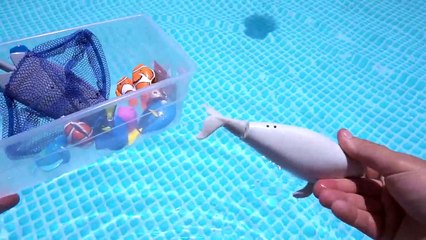 Download Video: FINDING DORY SWIMMING FISH TOYS IN THE POOL OR TUB NEMO MARLIN MR RAY DISNEY PIXAR-KfPANEmNw