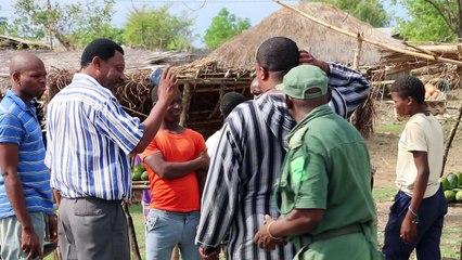 Le Mozambique lutte contre l'exploitation illégale de ses forêts