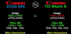 Canon EOS M5 vs Canon EOS 7D Mark II