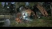 Dragon's Dogma : gameplay trailer
