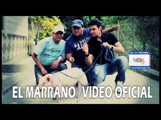 El Marrano (Video Oficial) - Los De Yolombo
