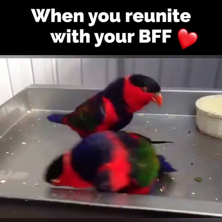 When you reunite with your friend after a long time