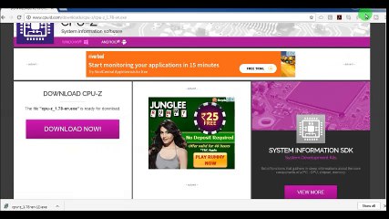 How to check RAM Type Without open system