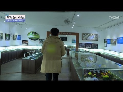 부부가 함께 만든 곤충 박물관! [광화문의 아침] 437회 20170309