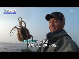 주꾸미의 달인이 주꾸미 잡는 법은?! [광화문의 아침] 466회 20170419