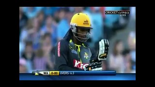Top 10 Biggest Sixes in Cricket History 2016 1