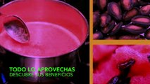 Descubre que pasa si hierves y consumes la semilla de sandia, te dejara en shock