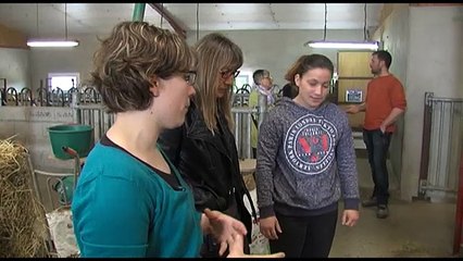 AGRICULTURE / Les fermes ouvrent leurs portes