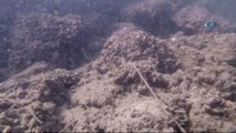 Fethiye'de Deniz Dibi Temizliği