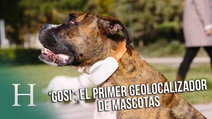 Este dispositivo te ayuda a encontrar a tu mascota perdida