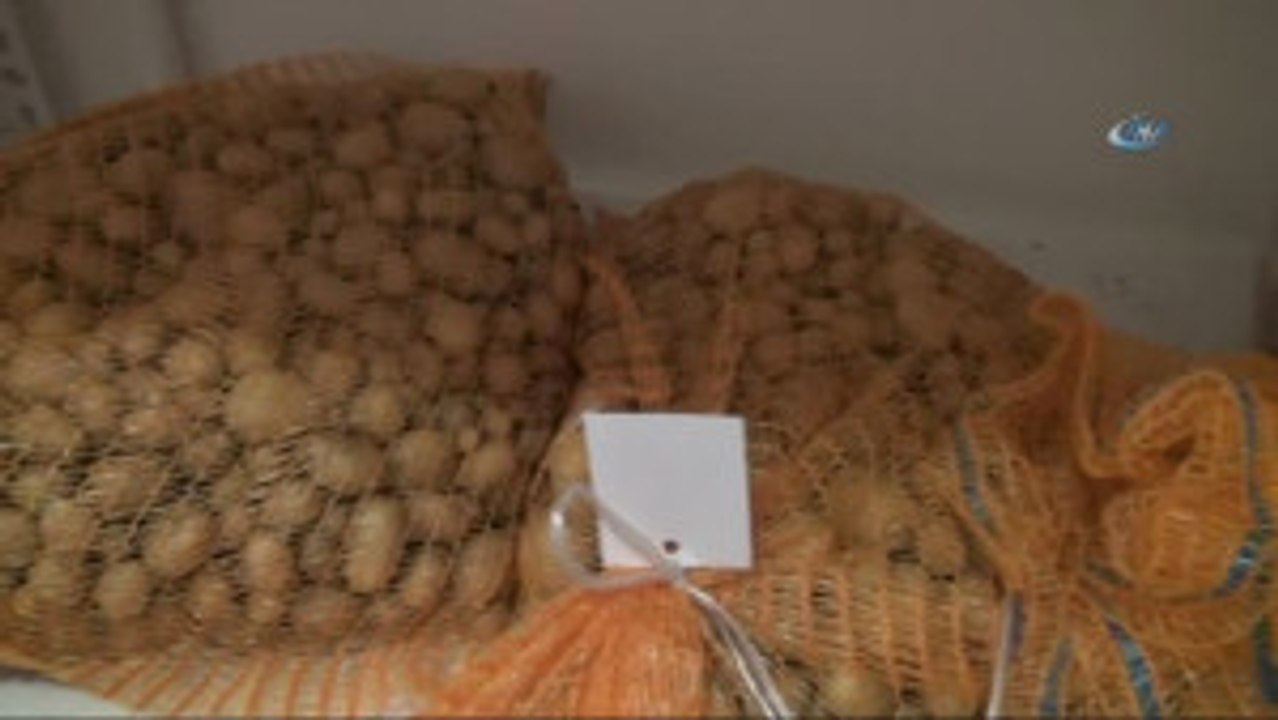 Niğde Patates Araştırma Enstitüsü Müdürü Uğur Pırlak: "Yerli Patates Tohumları Çiftçinin Maliyetini...